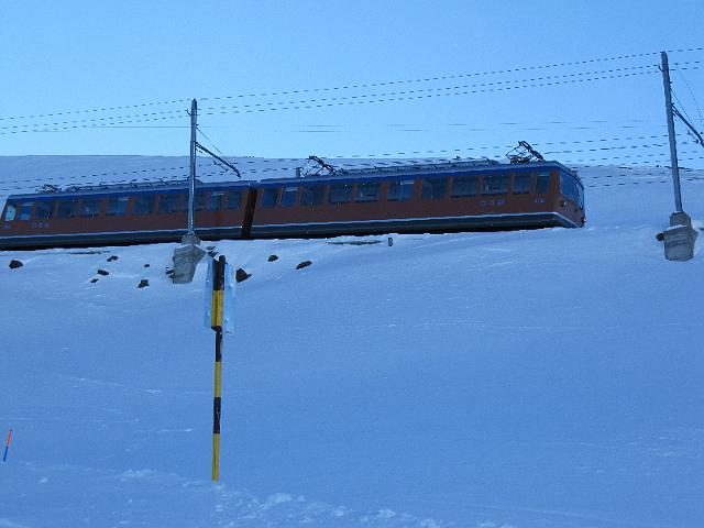 IMG_1206.JPG -                                