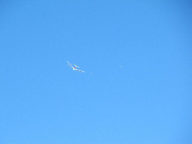 IMG_1219.JPG -                                