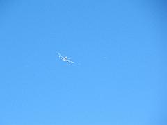 IMG_1219