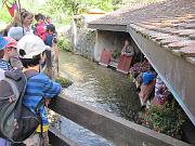 IMG_1758