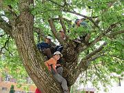 IMG_1766