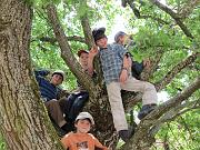 IMG_1770