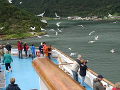 IMG_0436