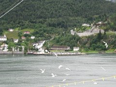 IMG_0438