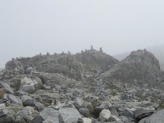 IMG_0453