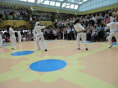IMG_0491
