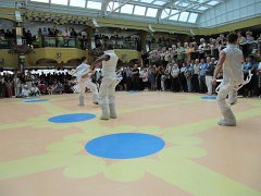 IMG_0493