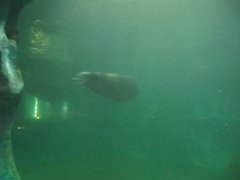 IMG_0534