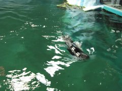 IMG_0539