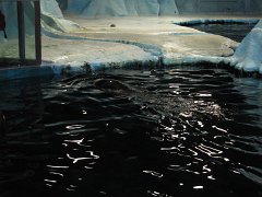 IMG_0542