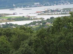 IMG_0599