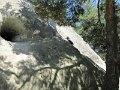IMG_1371
