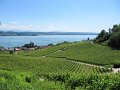 IMG_1374