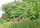 00_Mbirdiam_Km50_chez_Roland_Recordon