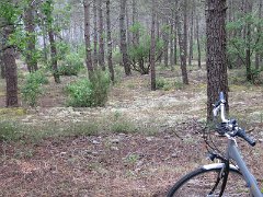 20130726_111111_IMG_3541