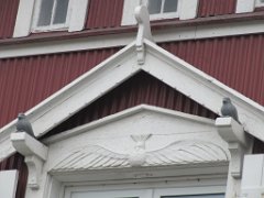 2016-06-13_-_11-06-22_-_IMG_6879_-_by_Sylvie_Canon_Powershot_SX200