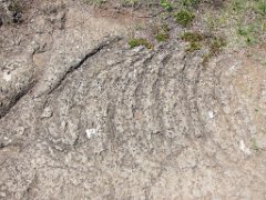 2016-06-14_-_11-47-33_-_IMG_5973_-_by_Isabelle_Canon_Powershot_S95