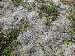2016-06-14_-_12-30-33_-_IMG_5982_-_by_Isabelle_Canon_Powershot_S95