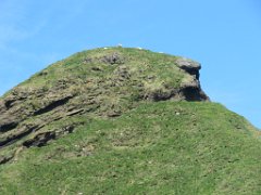 2016-06-15_-_12-06-52_-_IMG_7131_-_by_Sylvie_Canon_Powershot_SX200