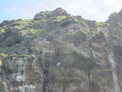 2016-06-15_-_12-29-56_-_IMG_6120_-_by_Isabelle_Canon_Powershot_S95