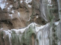 2016-06-15_-_12-31-54_-_IMG_6126_-_by_Isabelle_Canon_Powershot_S95