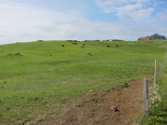 2016-06-15_-_16-35-02_-_IMG_6146_-_by_Isabelle_Canon_Powershot_S95