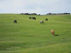 2016-06-15_-_16-35-14_-_IMG_6147_-_by_Isabelle_Canon_Powershot_S95