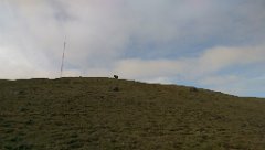 2016-06-15_-_17-07-51_-_IMAG0877_-_by_Seb_HTC_One_M8
