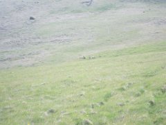 2016-06-15_-_17-28-50_-_IMG_6171_-_by_Isabelle_Canon_Powershot_S95