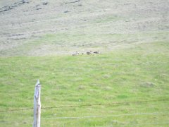 2016-06-15_-_17-31-57_-_IMG_6172_-_by_Isabelle_Canon_Powershot_S95