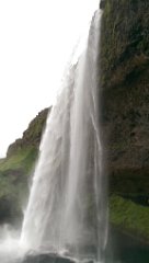 2016-06-16_-_09-42-01_-_IMAG0899_-_by_Seb_HTC_One_M8