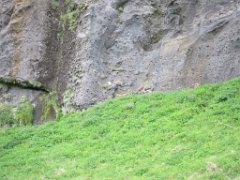 2016-06-16_-_10-05-23_-_IMG_6191_-_by_Isabelle_Canon_Powershot_S95
