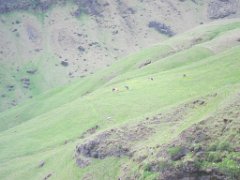 2016-06-16_-_12-00-20_-_IMG_6210_-_by_Isabelle_Canon_Powershot_S95