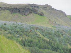 2016-06-16_-_12-05-23_-_IMG_7231_-_by_Sylvie_Canon_Powershot_SX200