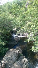 2016-06-17_-_11-45-42_-_IMAG1000_-_by_Seb_HTC_One_M8