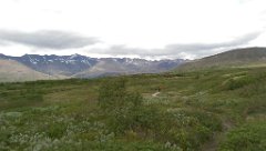 2016-06-17_-_12-55-15_-_IMAG1022_-_by_Seb_HTC_One_M8