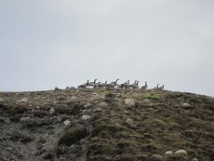2016-06-18_-_09-09-11_-_IMG_6379_-_by_Isabelle_Canon_Powershot_S95