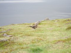 2016-06-18_-_14-26-19_-_IMG_6486_-_by_Isabelle_Canon_Powershot_S95