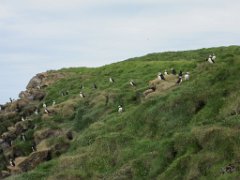 2016-06-18_-_14-27-57_-_IMG_6488_-_by_Isabelle_Canon_Powershot_S95