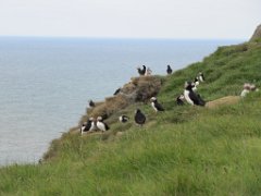 2016-06-18_-_14-29-43_-_IMG_7650_-_by_Sylvie_Canon_Powershot_SX200