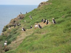 2016-06-18_-_14-30-13_-_IMG_6491_-_by_Isabelle_Canon_Powershot_S95