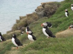 2016-06-18_-_14-30-25_-_IMG_7655_-_by_Sylvie_Canon_Powershot_SX200