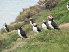 2016-06-18_-_14-30-36_-_IMG_7656_-_by_Sylvie_Canon_Powershot_SX200