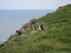 2016-06-18_-_14-31-32_-_IMG_6494_-_by_Isabelle_Canon_Powershot_S95