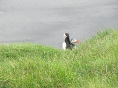 2016-06-18_-_14-37-25_-_IMG_7673_-_by_Sylvie_Canon_Powershot_SX200