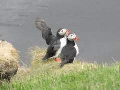 2016-06-18_-_14-42-39_-_IMG_7694_-_by_Sylvie_Canon_Powershot_SX200