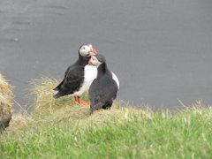 2016-06-18_-_14-42-45_-_IMG_7695_-_by_Sylvie_Canon_Powershot_SX200