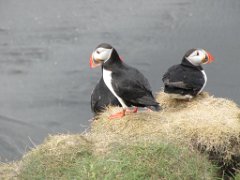 2016-06-18_-_14-43-04_-_IMG_7697_-_by_Sylvie_Canon_Powershot_SX200