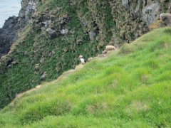 2016-06-18_-_15-01-00_-_IMG_6558_-_by_Isabelle_Canon_Powershot_S95