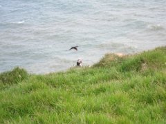 2016-06-18_-_15-01-23_-_IMG_6559_-_by_Isabelle_Canon_Powershot_S95
